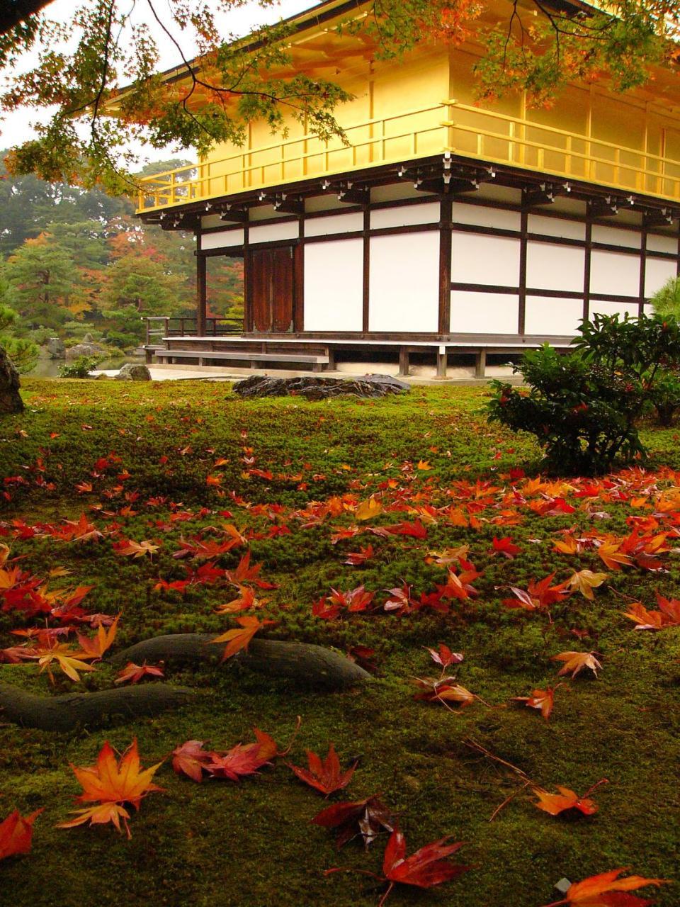 Ben'S Guesthouse Kyoto Dış mekan fotoğraf