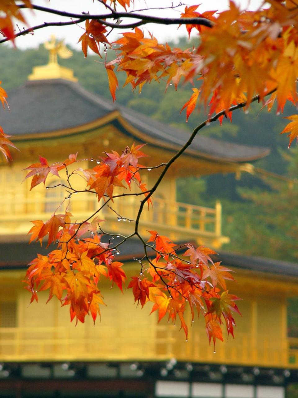 Ben'S Guesthouse Kyoto Dış mekan fotoğraf